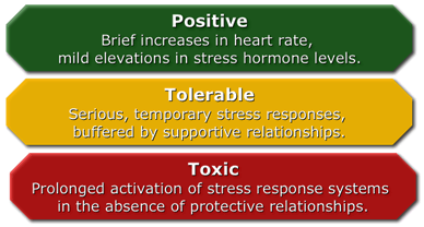 What Is Toxic Stress | College Of Medicine
